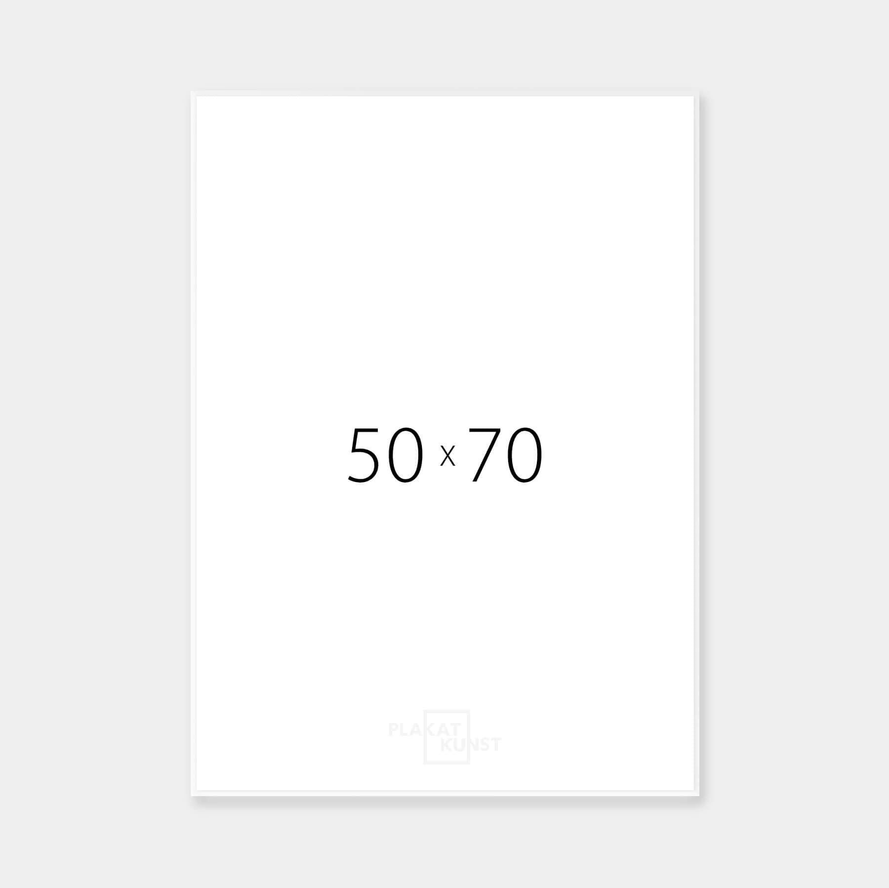 Mat sølv aluramme - Smal (9 mm) - 50x70 cm-PlakatKunst