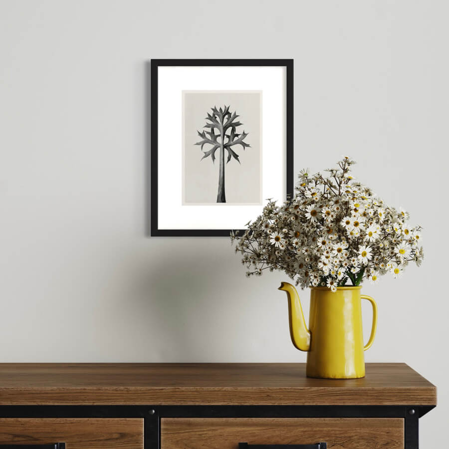 Mediterranean holly