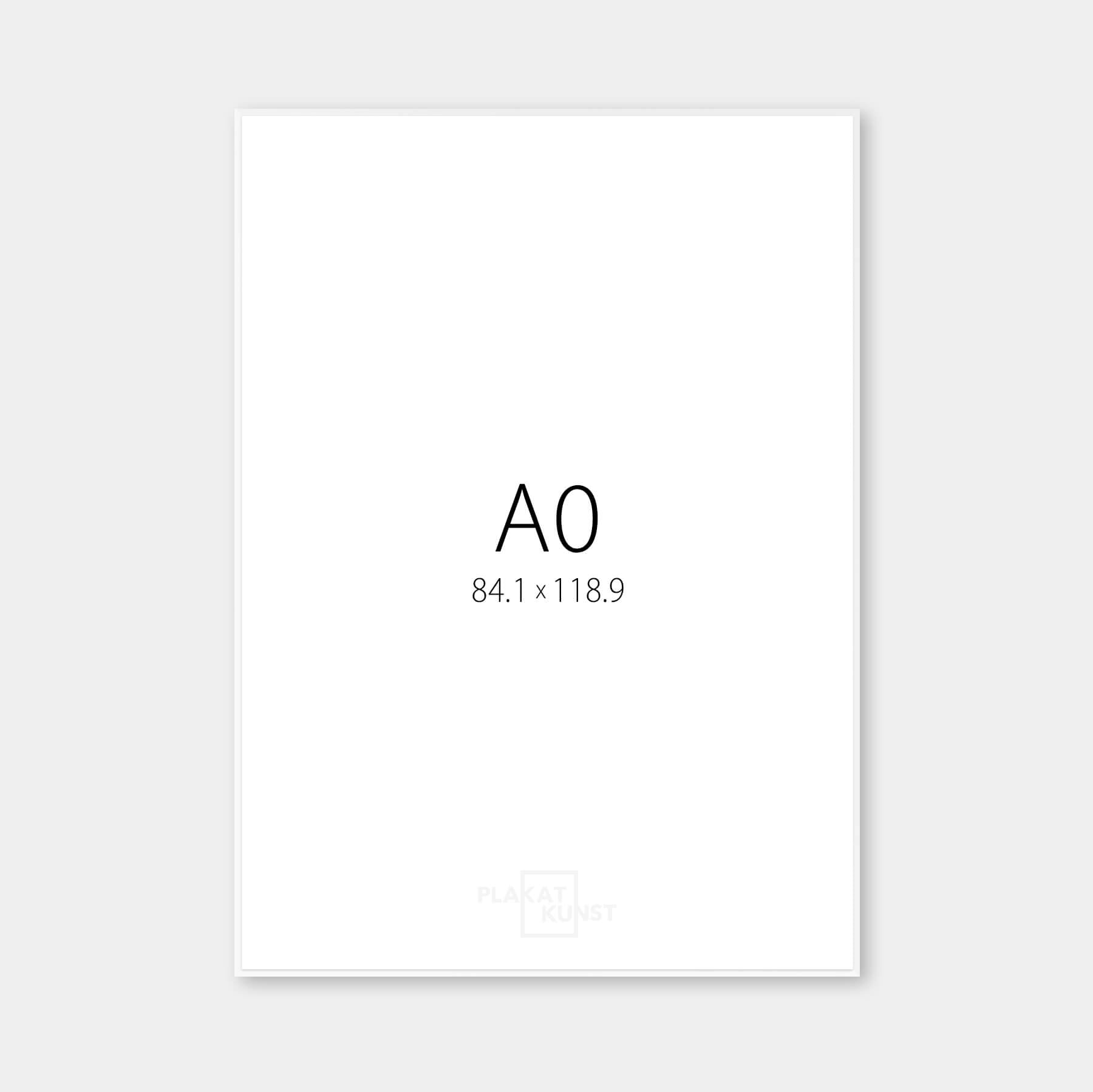 Matte silver aluminum frame - Narrow (6 mm) - A0 frame (84.1x118.9 cm)