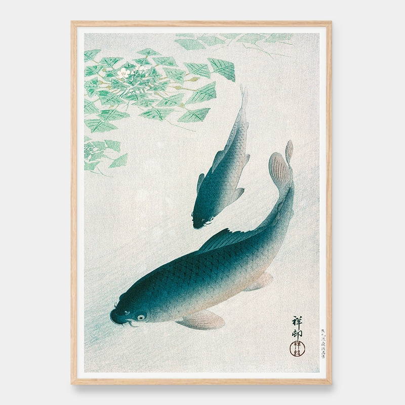 Carp