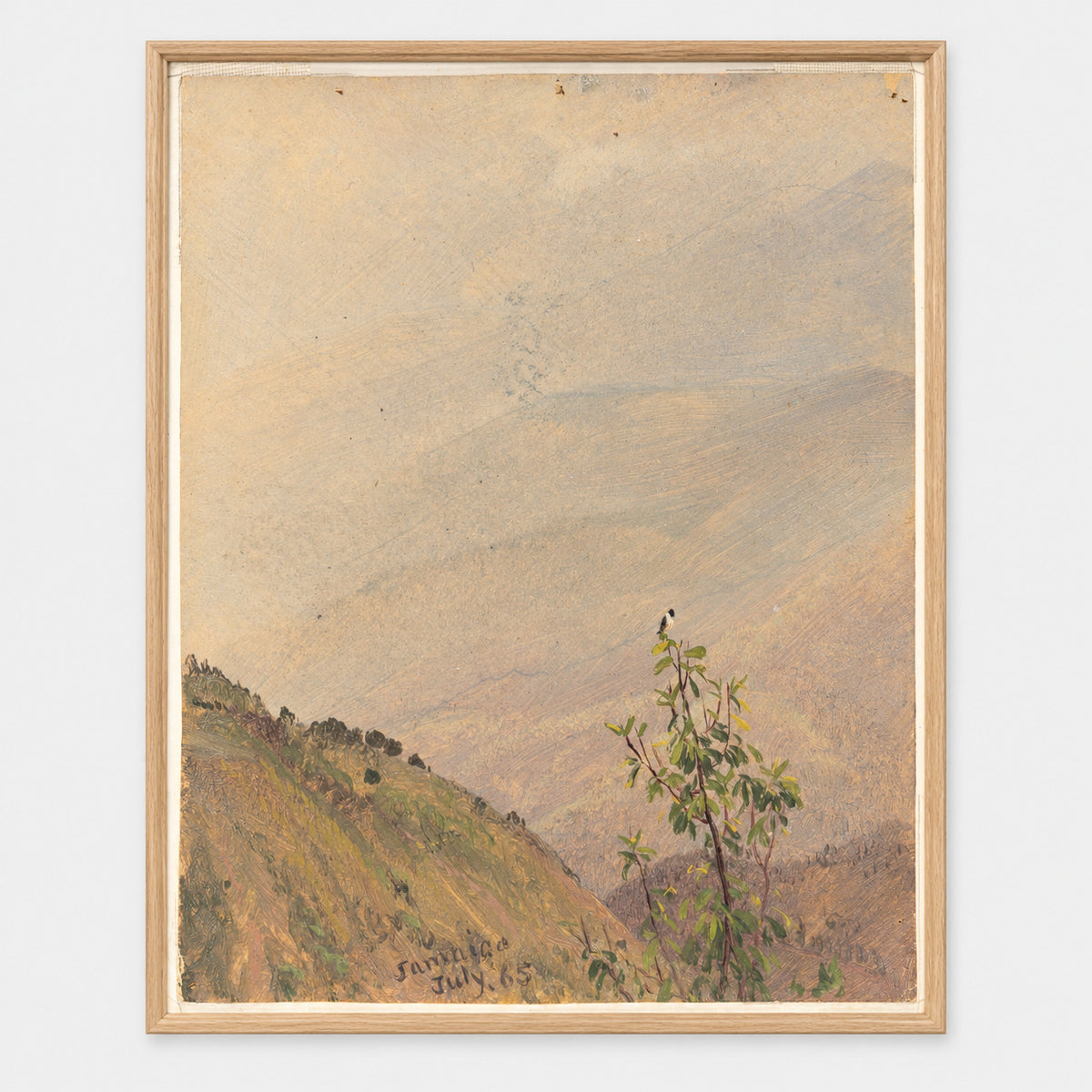 Distant Hills, Jamaica