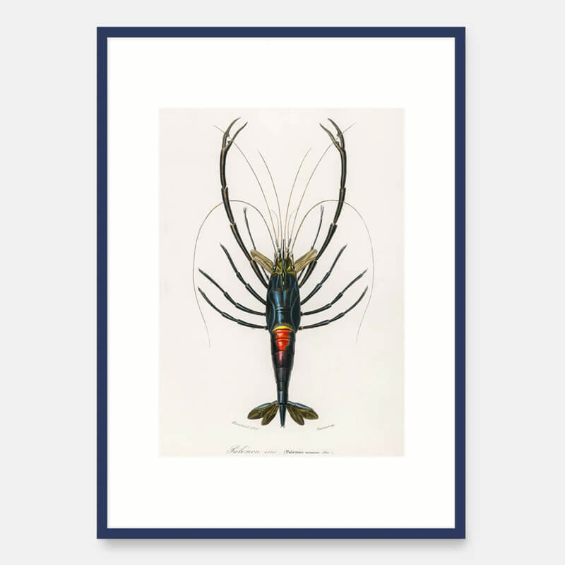 Crayfish