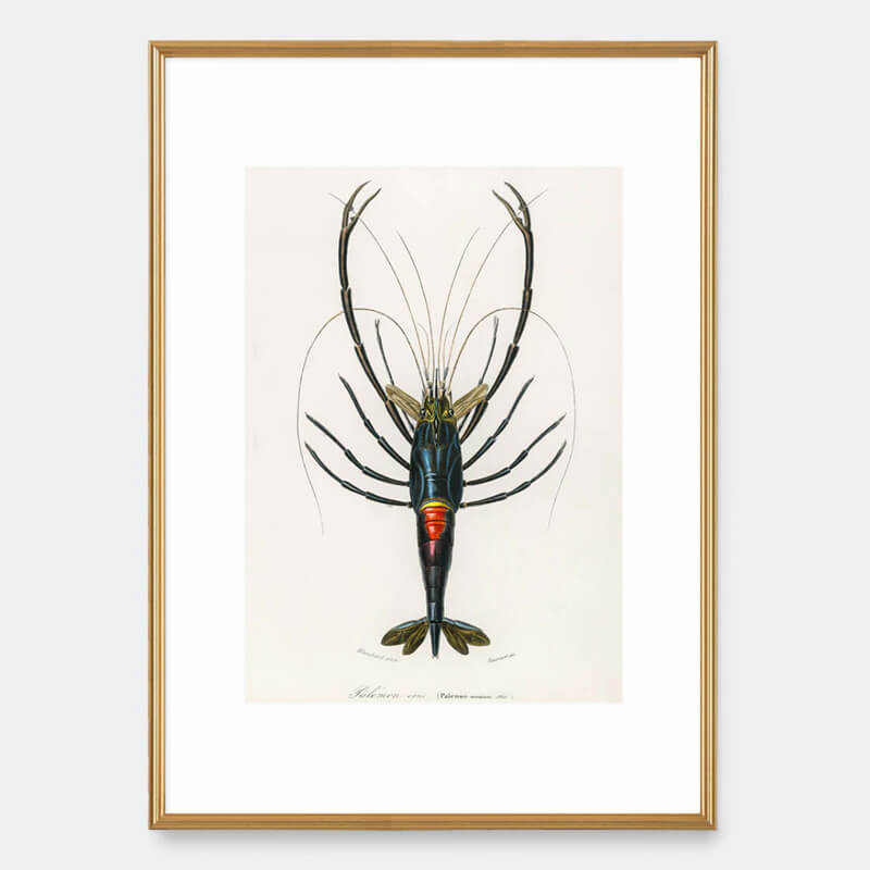 Crayfish