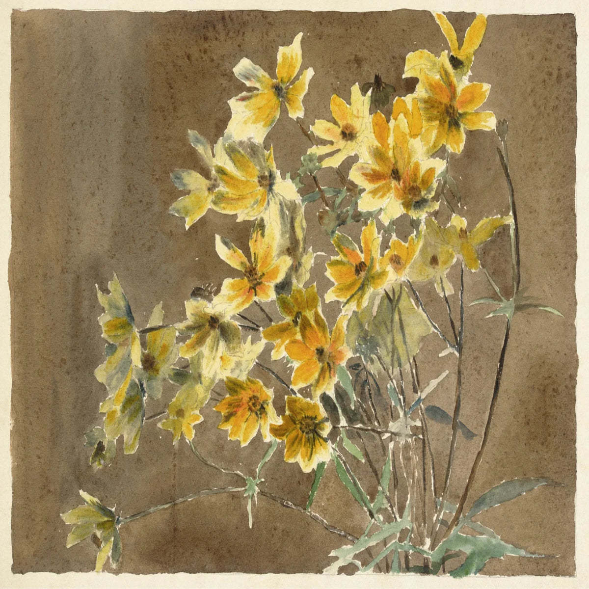Yellow flower