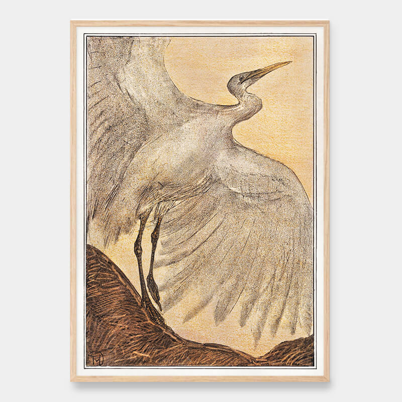 Silver heron