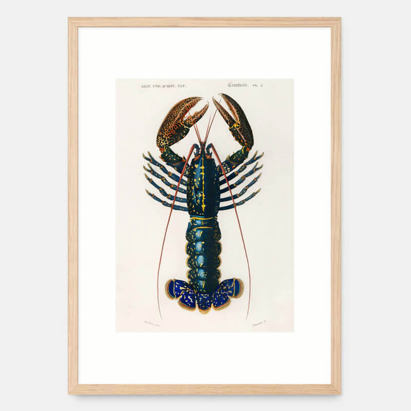 Lobster