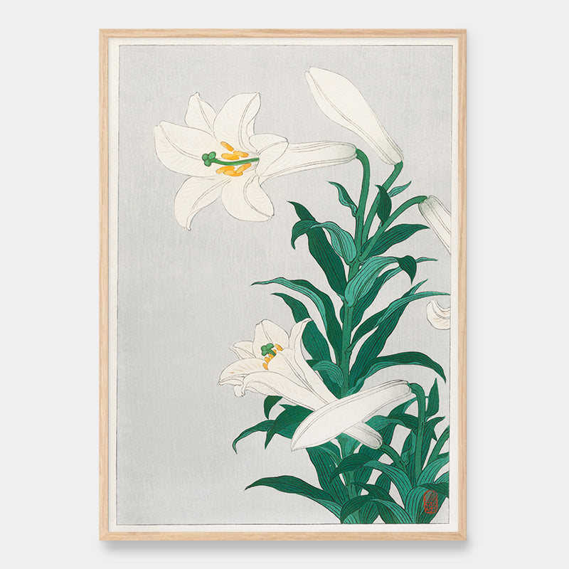 Lilies