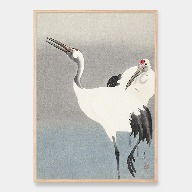 Two cranes