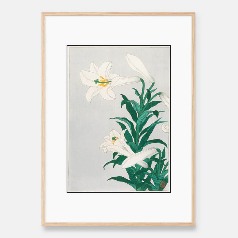 Lilies