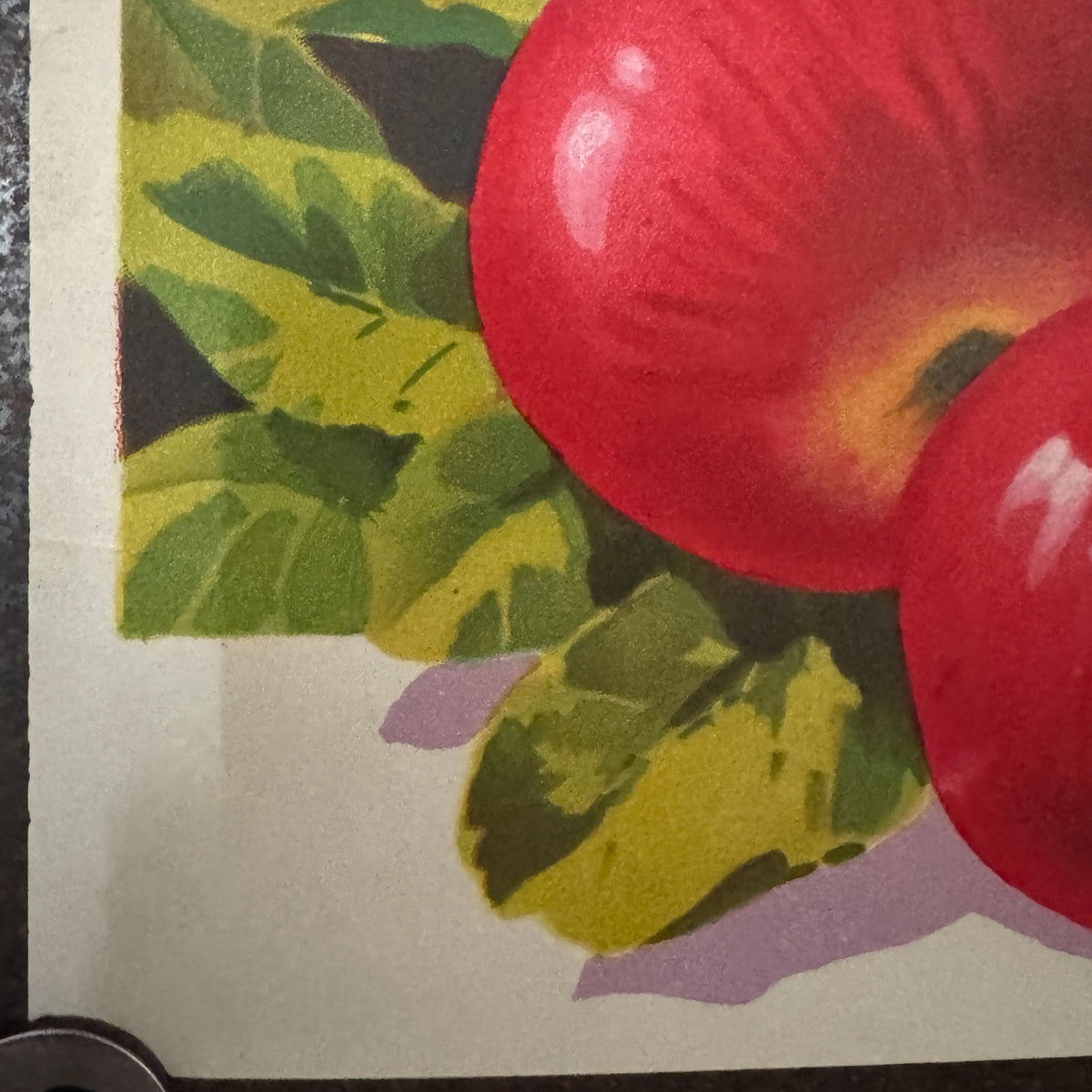 New Zealand Apples