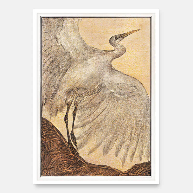 Silver heron