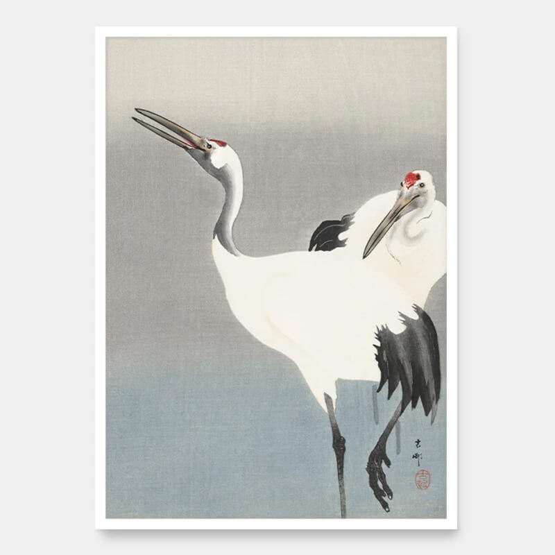 Two cranes