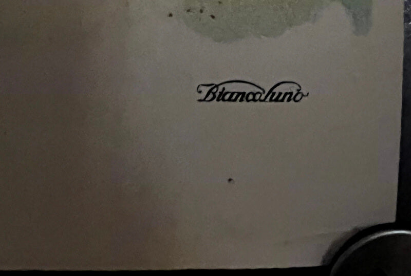 DDL - The Danish Aviation Company