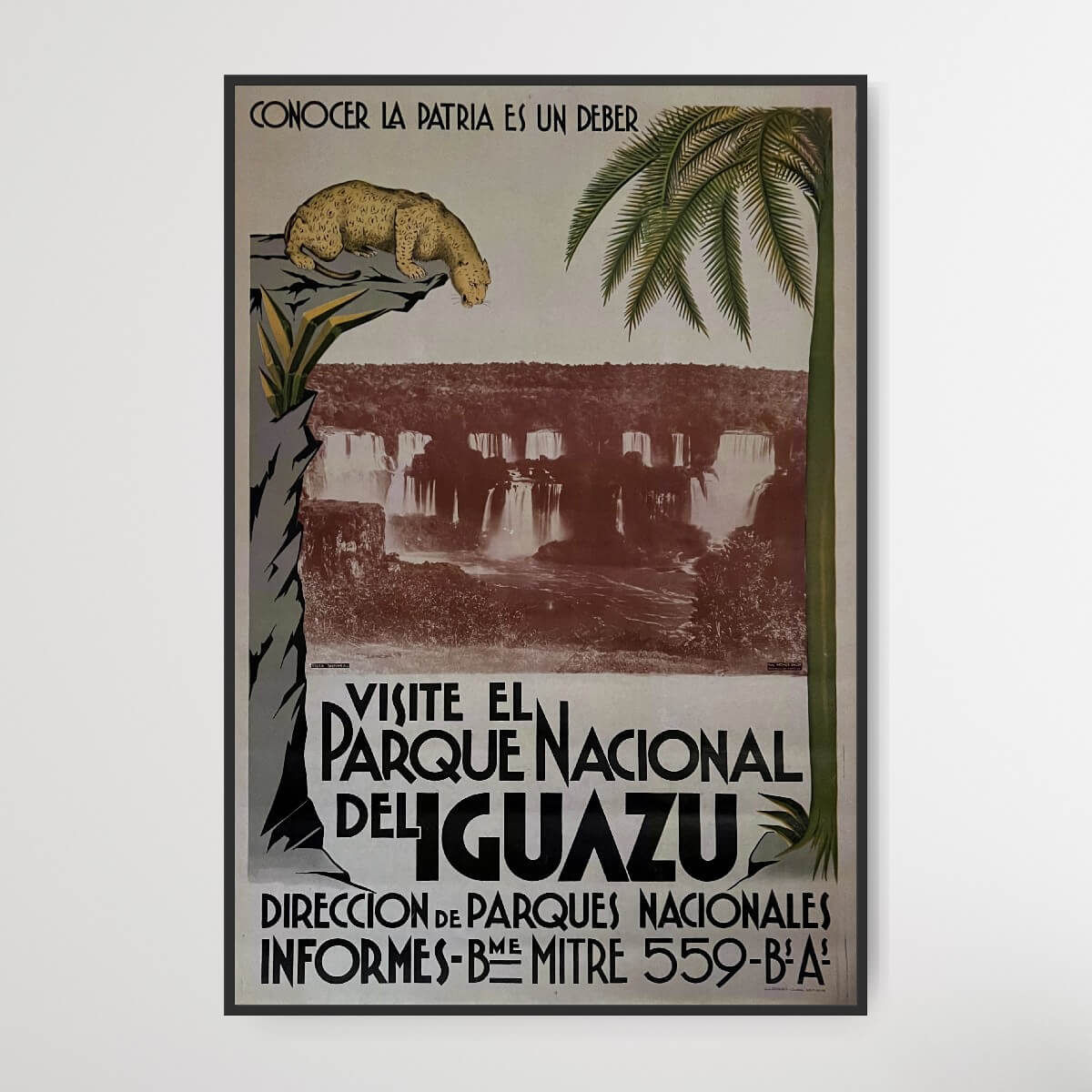 Visit Iguazú National Park