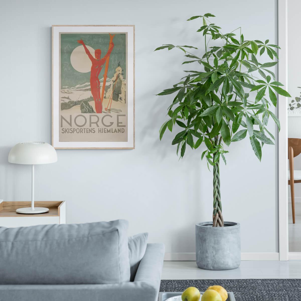 norge-hjemland-original-vintage-poster