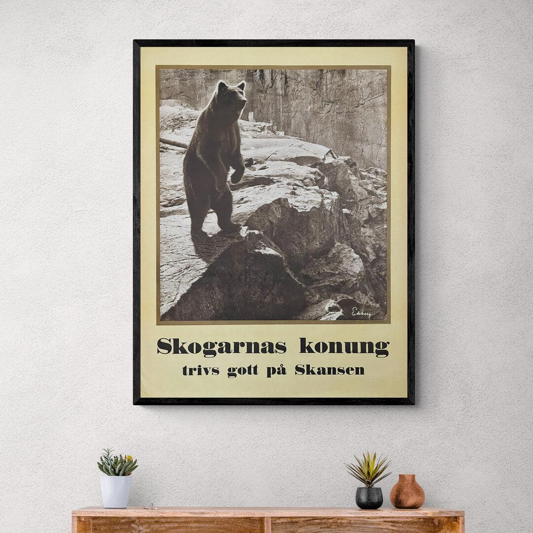 Skogarnas kunung trivs gott på Skansen - plakat i rum