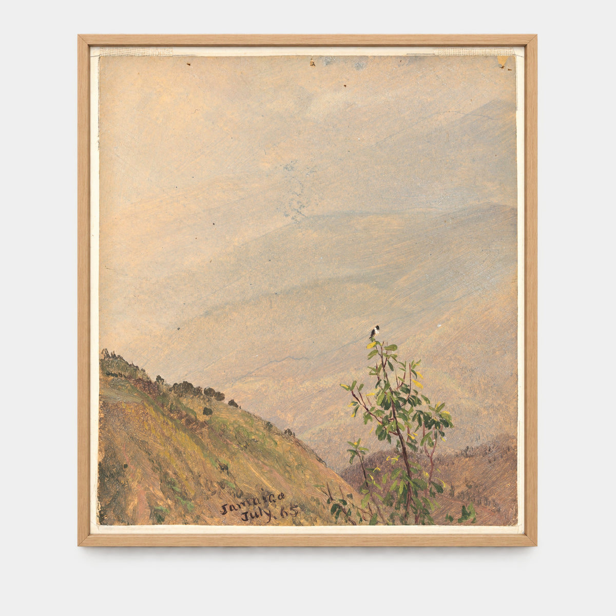 Distant Hills, Jamaica