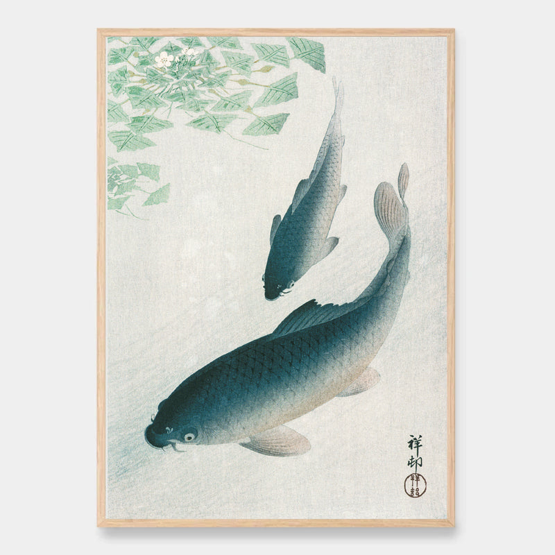 Carp