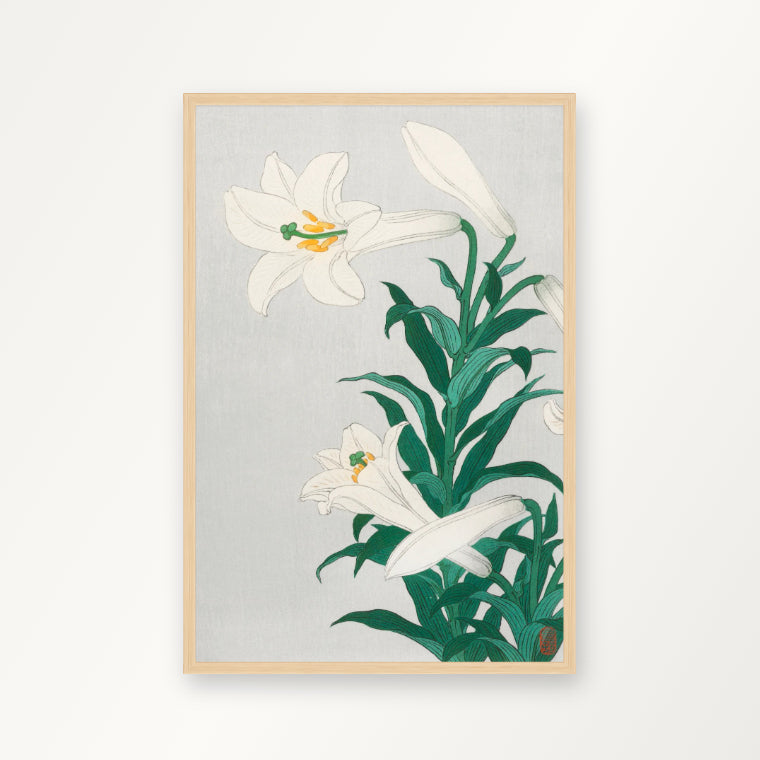 Lilies