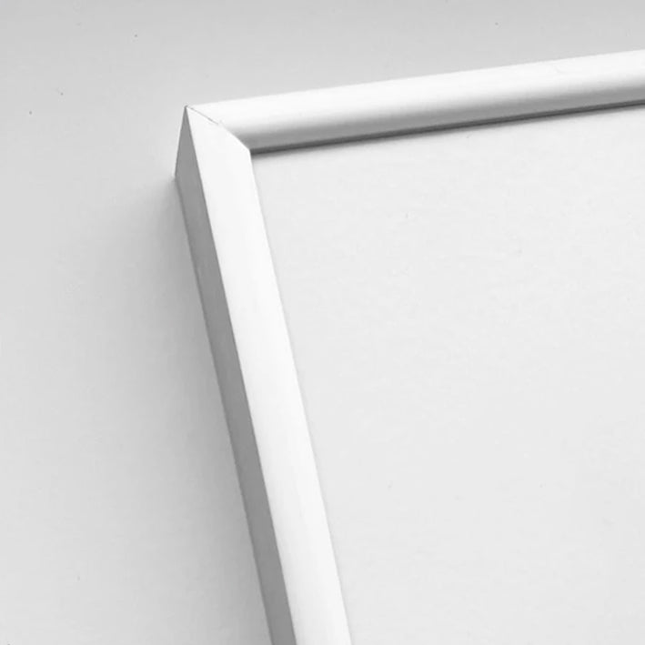 Matte silver premium aluminum frame- Narrow (6 mm) - 70x100 cm