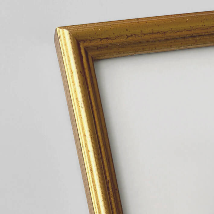 Vintage gold frame - Narrow (16 mm) - 28x35 cm